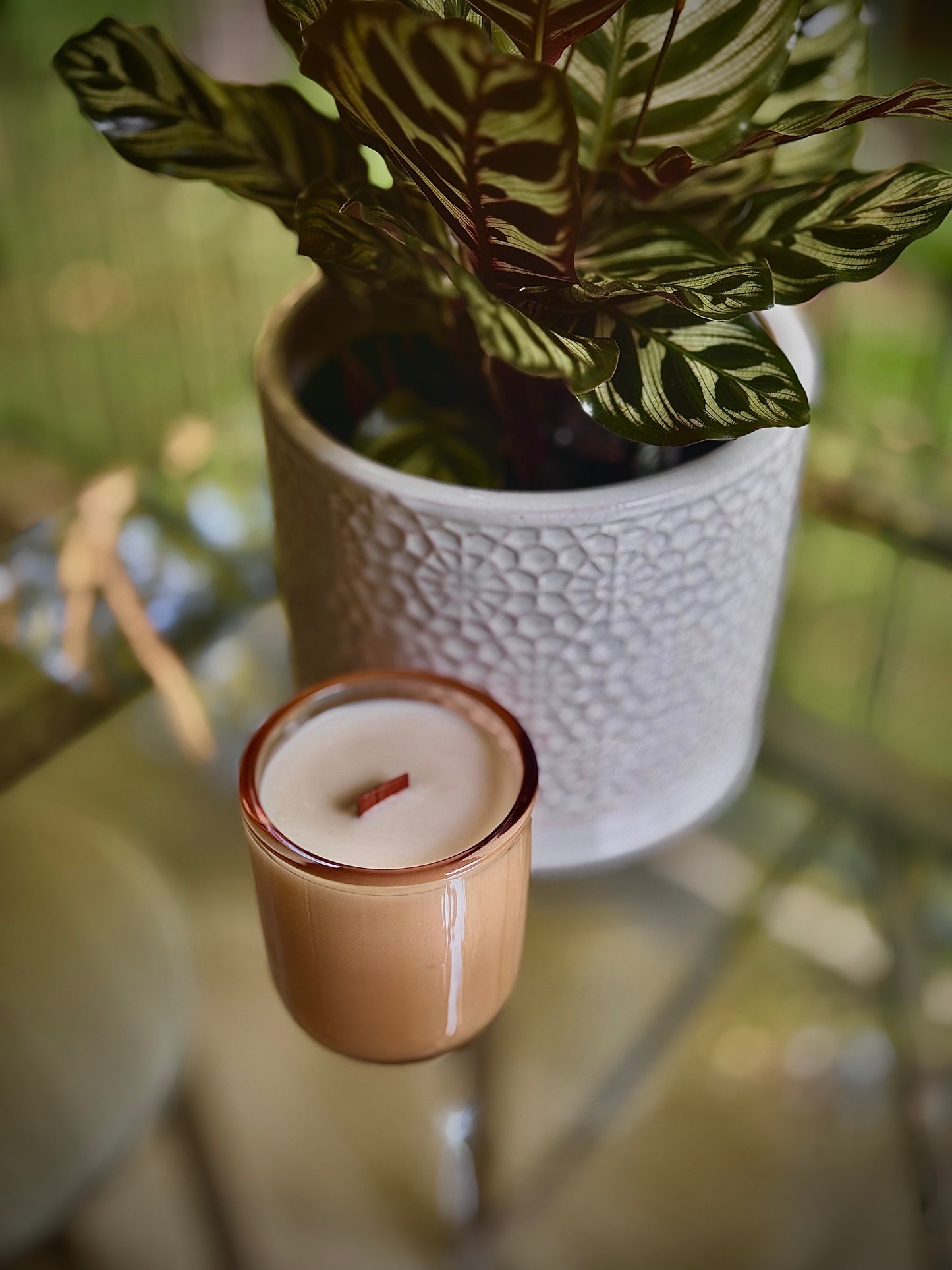 Rain kissed Vanilla Orchid